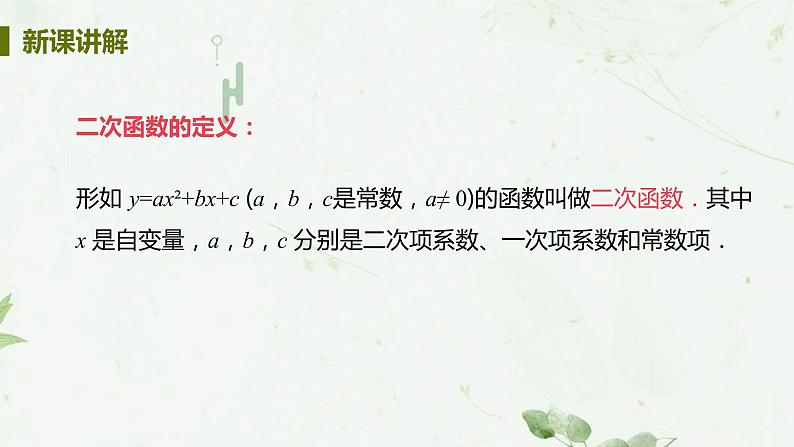 22.1.1二次函数 课件-2021-2022学年人教版九年级数学上册08