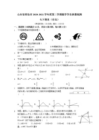 山东省青岛市2020-2021学年七年级下学期期末数学试卷（word版 无答案）