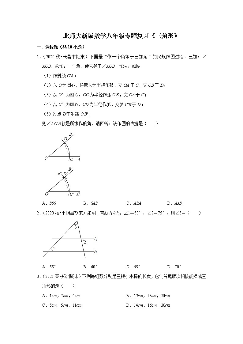 北师大新版数学八年级专题复习《三角形》（含答案）试卷第1页