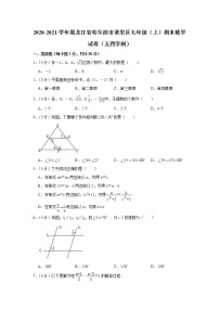 黑龙江省哈尔滨市道里区2020-2021学年七年级上学期期末数学试卷（word版 含答案）