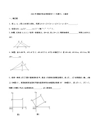 2021年中考数学考点归类复习——专题十：三角形