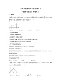 初中数学北师大版九年级上册8 图形的位似巩固练习