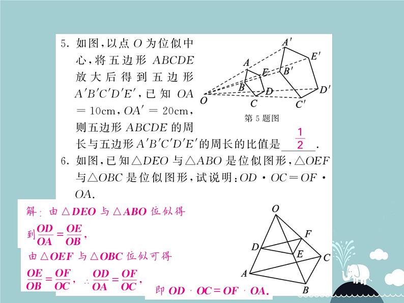 九年级数学下册 27.3 位似图形（第1课时）课件 （新版）新人教版第5页