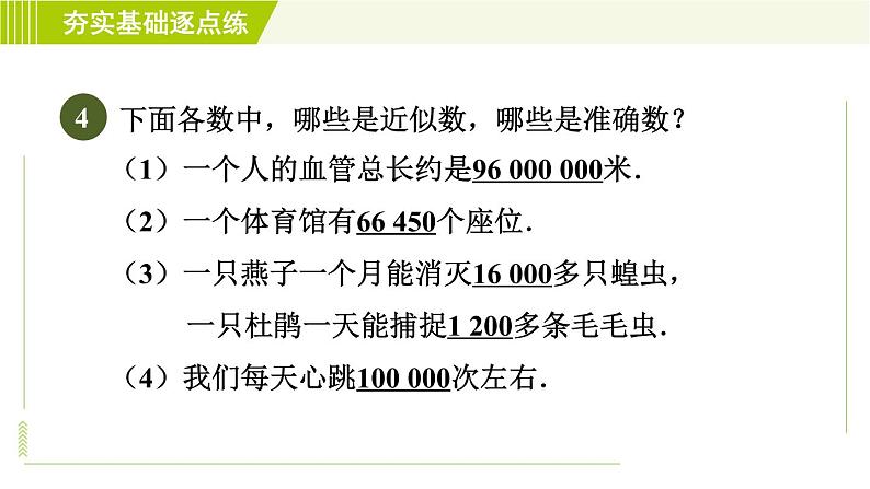 鲁教版六年级上册数学习题课件 第2章 2.12近似数第6页