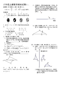 人教版八年级上册数学期末试卷1