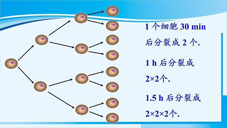 北师大版七年级数学上册 第二章 有理数及其运算  2.9 有理数的乘方 课件03