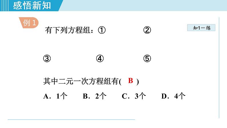 北师大版八年级数学上册   5.1.2   二元一次方程组 课件第7页