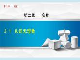 北师大版八年级数学上册   2.1  认识无理数 课件