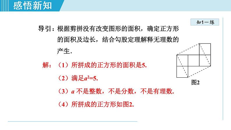 北师大版八年级数学上册   2.1  认识无理数 课件07