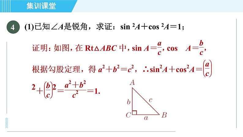 华师班九年级下册数学课件 第24章 集训课堂 练素养  求锐角三角函数值的七种常用方法第8页