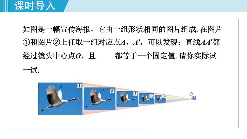 北师大版九年级数学上册 4.8.1位似图形 课件第3页