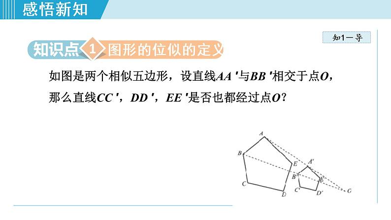 北师大版九年级数学上册 4.8.1位似图形 课件第4页