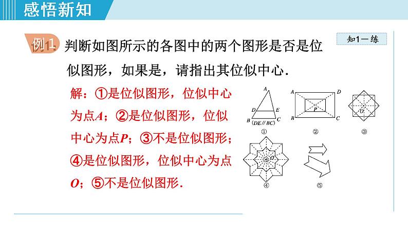 北师大版九年级数学上册 4.8.1位似图形 课件第8页