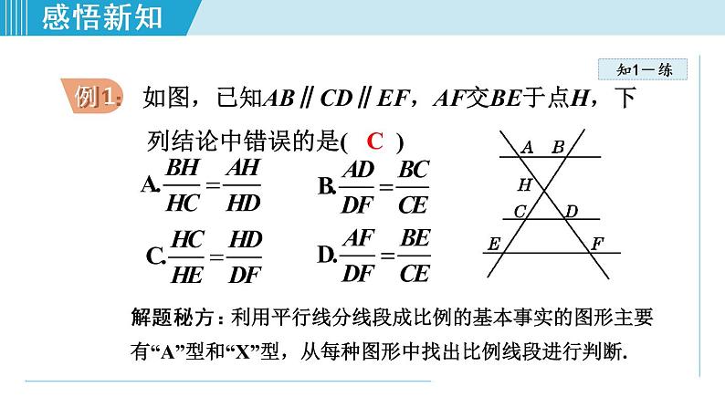 北师大版九年级数学上册 4.2平行线分线段成比例 课件08