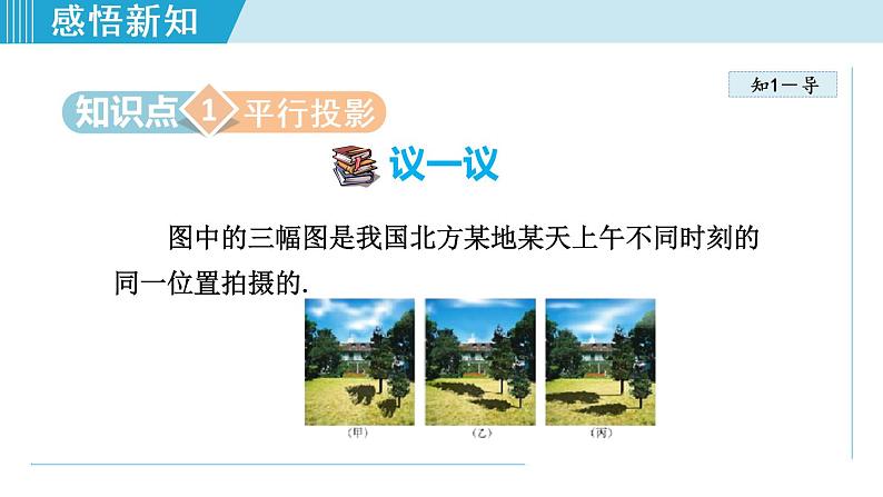 北师大版九年级数学上册 5.1.2平行投影与正投影 课件第4页