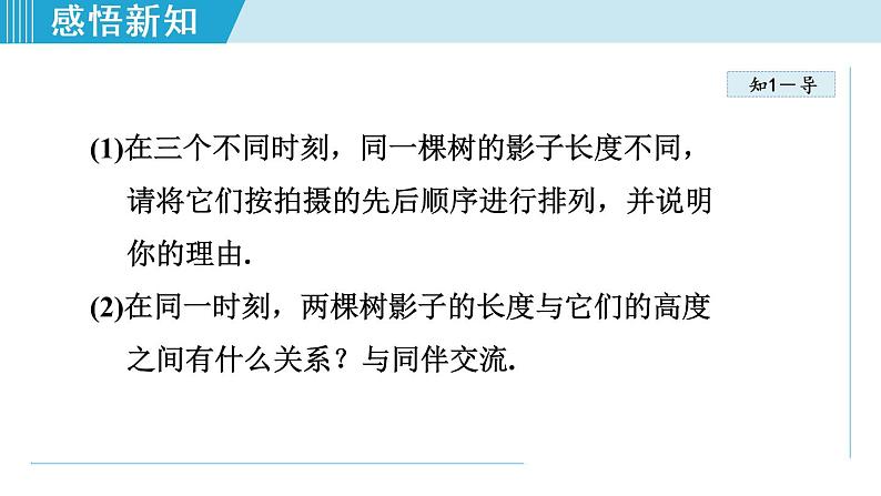 北师大版九年级数学上册 5.1.2平行投影与正投影 课件第5页