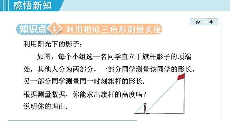 北师大版九年级数学上册 4.6利用相似三角形测高 课件04