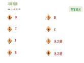 冀教版九年级上册数学课件 第23章 全章热门考点整合应用