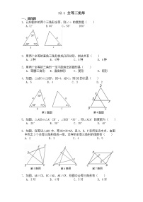 初中12.1 全等三角形习题