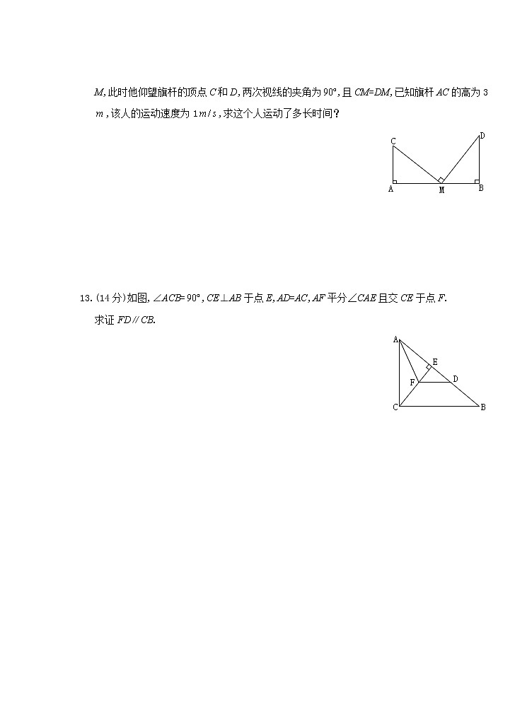 第12章 全等三角形期末复习卷及答案第3页