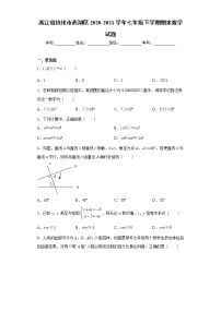 浙江省杭州市西湖区2020-2021学年七年级下学期期末数学试题（word版 含答案）