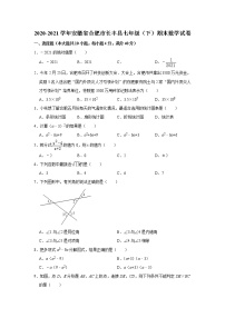 -安徽省合肥市长丰县2020-2021学年七年级下学期期末数学试卷（word版 含答案）