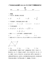 广东省汕头市龙湖区2020-2021年八年级下学期期末数学试题（word版 含答案）