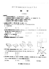 2021年安徽省中考真题数学试卷及答案