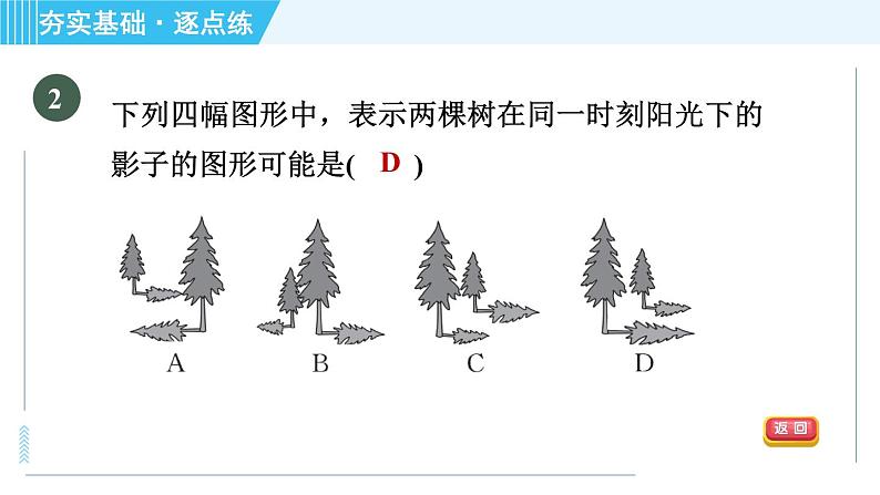 鲁教版九年级上册数学习题课件 第4章 4.1.2平行投影与正投影05