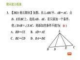 华师版八年级上册数学习题课件 期末提分练案 第5课时 三角形全等的判定