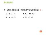 华师版八年级上册数学习题课件 期末提分练案 第7课时 勾股定理
