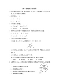 华师版八年级上册数学 第一学期期末测试卷.