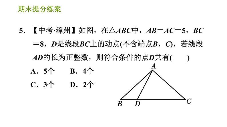 华师版八年级上册数学习题课件 期末提分练案第7课时 勾股定理.07