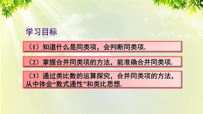 人教版七年级数学上册  第二章  2.2.1 合并同类项 课件03