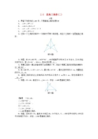 初中数学浙教版八年级上册2.6 直角三角形课堂检测