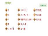 华师版八年级上册数学习题课件 第14章 14.1.2 直角三角形的判定