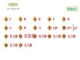 滬科版七年級(jí)下冊(cè)數(shù)學(xué)課件 期末提分練案 第8課時(shí)　相交線與平行線