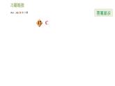 华师版七年级下册数学课件 第10章 全章热门考点整合应用