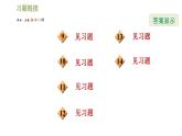 华师版七年级下册数学课件 第8章 8.2.1不等式的解集