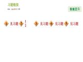 滬科版九年級下冊數(shù)學(xué)課件 第24章 專題技能訓(xùn)練(二)  2.垂徑定理的四種應(yīng)用技巧