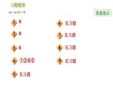 华师版八年级下册数学课件 第17章 专题技能训练(三)  训练　反比例函数与一次函数、三角形的综合应用