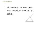 浙教版九年级下册数学课件 第1章 全章热门考点整合应用