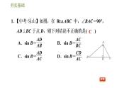 浙教版九年级下册数学课件 第1章 1.1.1锐角三角函数