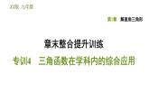 浙教版九年级下册数学课件 第1章 章末整合提升训练 专训4 三角函数在学科内的综合应用