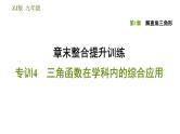 浙教版九年级下册数学课件 第1章 章末整合提升训练 专训4 三角函数在学科内的综合应用