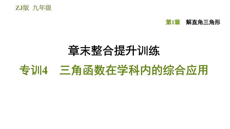 浙教版九年级下册数学课件 第1章 章末整合提升训练 专训4 三角函数在学科内的综合应用01