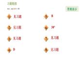 浙教版九年級下冊數學課件 第1章 階段方法技巧訓練  專訓1　求銳角三角函數值的常用方法