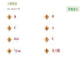 浙教版九年级下册数学课件 第1章 1.3.4用解直角三角形解视角问题