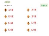 浙教版九年级下册数学课件 第1章 章末整合提升训练 专训2 构造三角函数基本图形解实际问题的几种数学模型