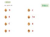浙教版九年级下册数学课件 第3章 3.1.2中心投影